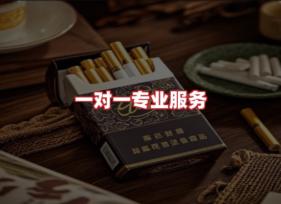 专业团队